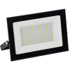 LPDO501-100-65-K02-G | Прожектор LED СДО 001-100 6500К IP65 черный GENERICA